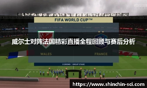 威尔士对阵法国精彩直播全程回顾与赛后分析