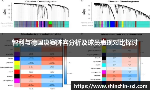 智利与德国决赛阵容分析及球员表现对比探讨